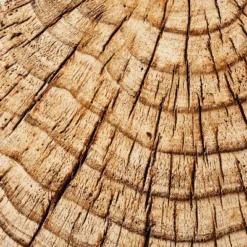 Indoor/Outdoor Faux Concrete Stump Accent Table Brown - Threshold™ Designed With Studio McGee 9 Indoor/Outdoor Faux Concrete Stump Accent Table Brown - Threshold™ Designed With Studio McGee -Homcom Store GUEST 03deabfd 2b62 4725 94b4 09a321ea8678