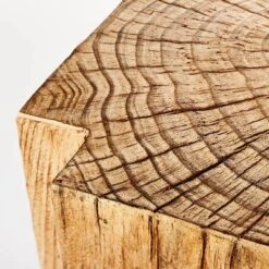 Indoor/Outdoor Faux Concrete Stump Accent Table Brown - Threshold™ Designed With Studio McGee 8 Indoor/Outdoor Faux Concrete Stump Accent Table Brown - Threshold™ Designed With Studio McGee -Homcom Store GUEST 0507ce42 1b4d 418a 858c 11fe1ac459fe